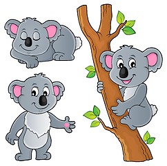 Image showing Koala theme collection 1