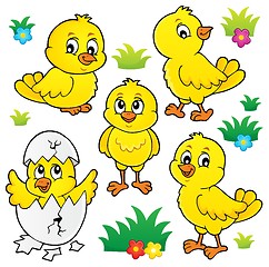 Image showing Cute chickens topic set 1