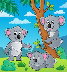Image showing Koala theme image 1