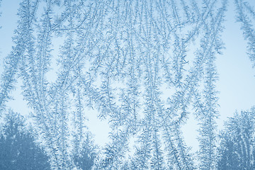 Image showing Frost flake patterns on a window in December