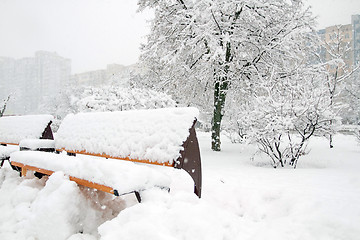 Image showing Park with Bench covered with Snow