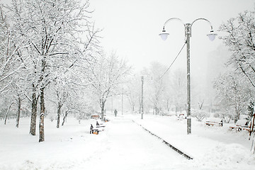 Image showing Park with Trees covered with Snow