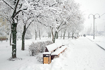 Image showing Park with Trees covered with Snow