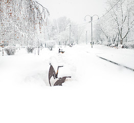 Image showing Park with Trees covered with Snow