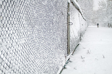 Image showing Snow-covered Rabitz grid