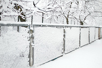 Image showing Snow-covered Rabitz grid