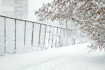 Image showing Park with Trees covered with Snow