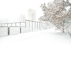 Image showing Park with Trees covered with Snow