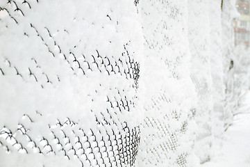 Image showing Snow-covered Rabitz grid