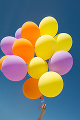 Image showing close up of colorful helium balloons in blue sky