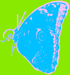 Image showing Butterfly picture