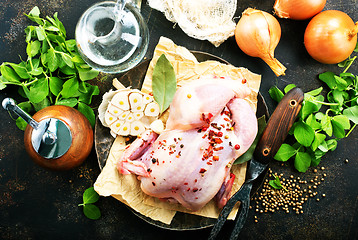 Image showing raw chicken