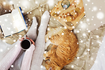 Image showing woman with coffee and cat in bed over snow