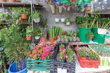 Image showing Plants Shop