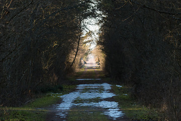 Image showing Melting snow on a country road