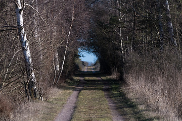 Image showing Country road with light in the tunnel