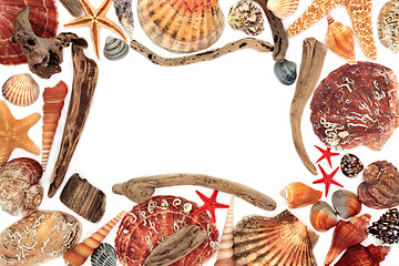 Image showing Driftwood and Seashell Abstract Border