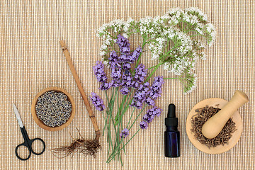 Image showing Lavender and Valerian Herbal Medicine