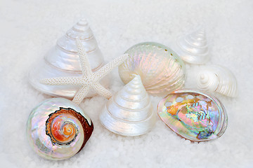 Image showing Seashells on Sea Salt