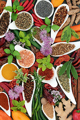 Image showing Spice and Herb Seasoning