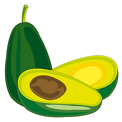 Image showing Fruit tree avocado on white background is insulated