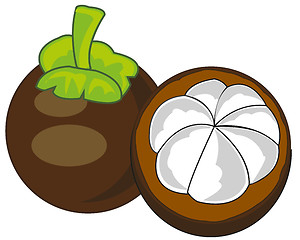 Image showing Exotic fruit mangosteen on white background is insulated