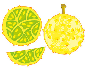 Image showing Exotic fruit kivano on white background is insulated