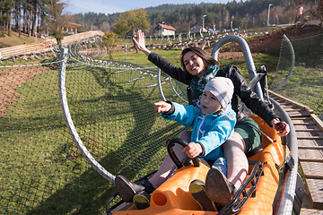 Image showing mother and son enjoys driving on alpine coaster