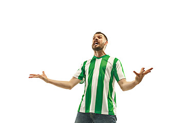 Image showing Irish fan celebrating on white background