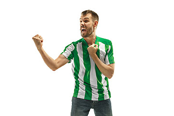 Image showing Irish fan celebrating on white background