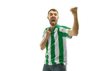 Image showing Irish fan celebrating on white background