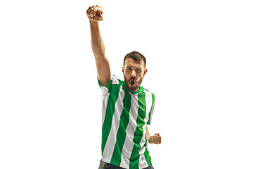 Image showing Irish fan celebrating on white background