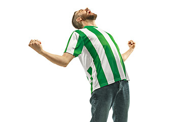 Image showing Irish fan celebrating on white background