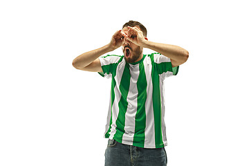 Image showing Irish fan celebrating on white background