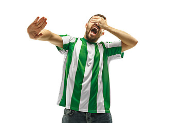 Image showing The unhappy and sad Irish fan on white background