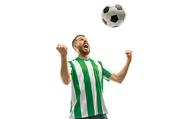 Image showing Irish fan celebrating on white background