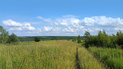 Image showing Beautiful summer landscape 
