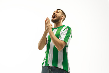 Image showing Irish fan celebrating on white background