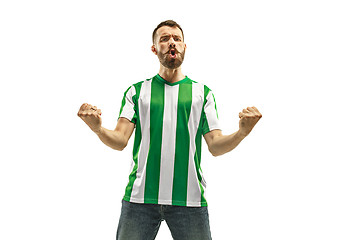 Image showing Irish fan celebrating on white background