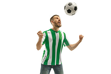 Image showing Irish fan celebrating on white background