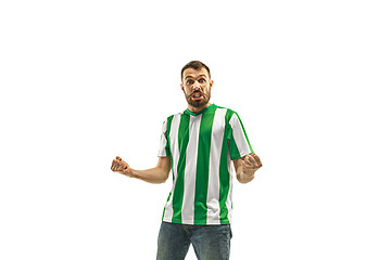 Image showing Irish fan celebrating on white background