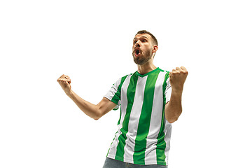 Image showing Irish fan celebrating on white background