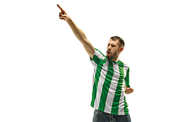 Image showing Irish fan celebrating on white background