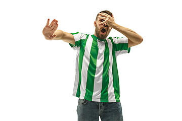 Image showing The unhappy and sad Irish fan on white background