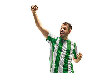 Image showing Irish fan celebrating on white background