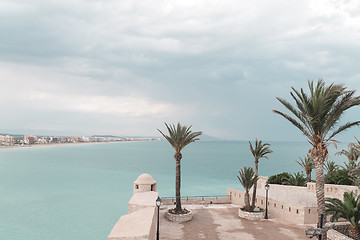 Image showing Turquoise sea and palm trees