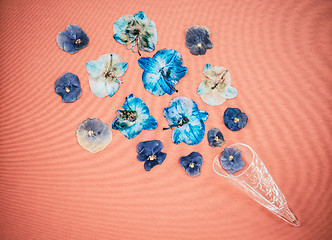 Image showing Blue pansies in a glass cone