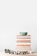 Image showing Stack of books and eucalyptus branch