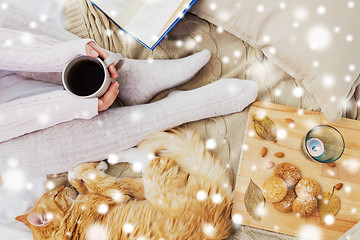 Image showing woman with coffee and cat in bed over snow