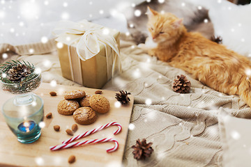 Image showing red cat lying in bed with christmas gift at home